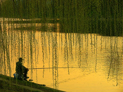 Аксессуары для рыбалки от ГизмоМаркета