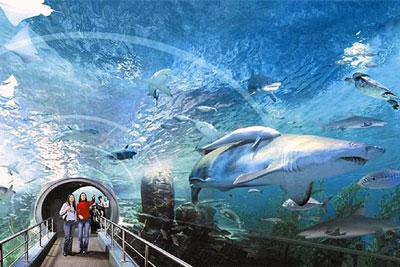 Подводный мир Таиланда